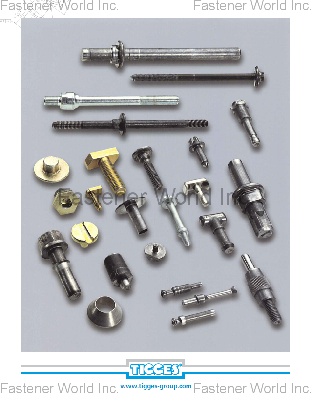 TIGGES TAIWAN , Product examples forming , Customized Special Screws / Bolts