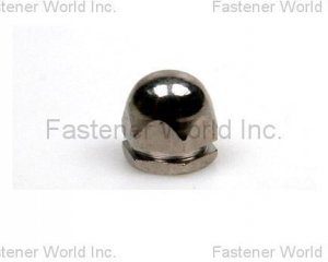 CAP NUT WITH SLOTTED(CHONG CHENG FASTENER CORP. (CFC))