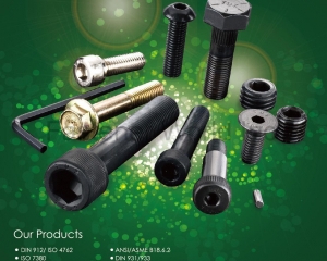 All Kinds of High Tensile Screws / Fasteners(MAUDLE INDUSTRIAL CO., LTD. )