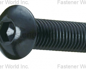 ISO7380-1/iso7380-2/Stainless Steel Hex Socket Button head Cap Screw(MAUDLE INDUSTRIAL CO., LTD. )
