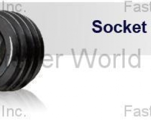 Socket Pipe Plug(MAUDLE INDUSTRIAL CO., LTD. )