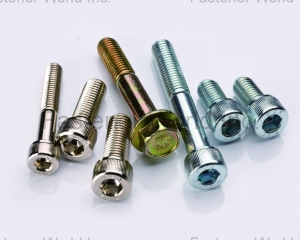 Fasteners with different kinds of finished/Plated Screws(MAUDLE INDUSTRIAL CO., LTD. )