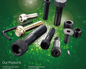 All Kinds of High Tensile Screws / Fasteners(MAUDLE INDUSTRIAL CO., LTD. )