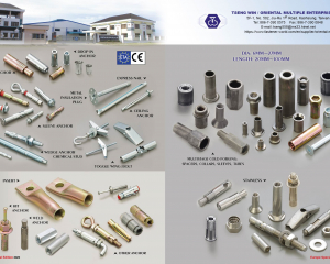 Cut Anchor, Drop in Anchor, Metal Insulation Plug, Express Nail, Ceiling Anchor, Sleeve Anchor, Wedge Anchor Chemical Stud, Toggle Wing/Bolt, Insert, Bolt Anchor, Hit Anchor, Weld Anchor, Stainless Steel, Multistage cold Forging, Spacers, Collars, Sleeves, Tubes(TSENG WIN / ORIENTAL MULTIPLE ENTERPRISE LTD.)