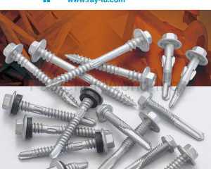 Ruspert coated screw(RAY FU ENTERPRISE CO., LTD.)