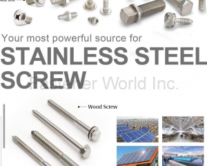 Stainless Steel Screw, Daisy Bolt, Penta Bolt, Furniture Screw, Security Bolt, Wood Screw(WINLINK FASTENERS CO., LTD. )