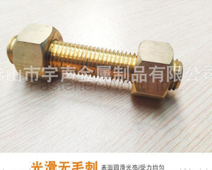 Copper bolts C63000 aluminium bronze studbolt with heavy hex nut(Chongqing Yushung Non-Ferrous Metals Co., Ltd.)