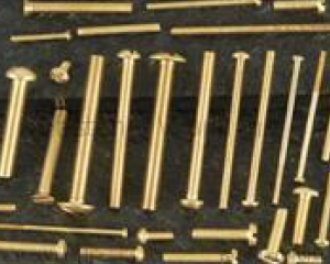 Brass Screw(GOFAST CO., LTD. )