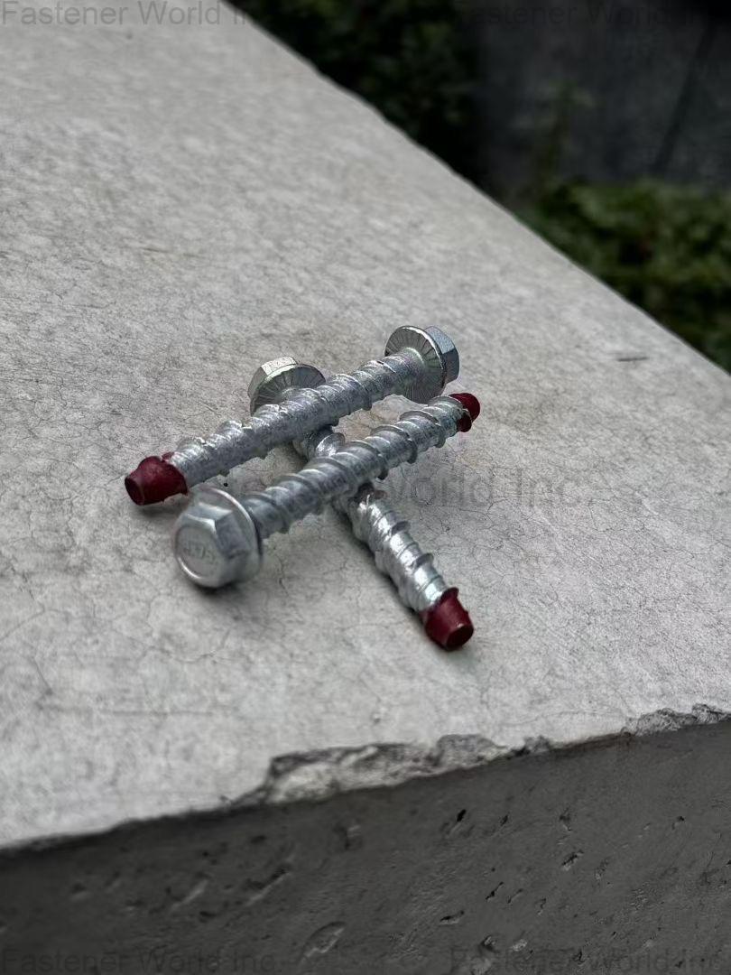 邯鄲市特盾緊固件製造有限公司 , Concrete self-drilling anchor/wedge anchor bolt/Tedun fastener