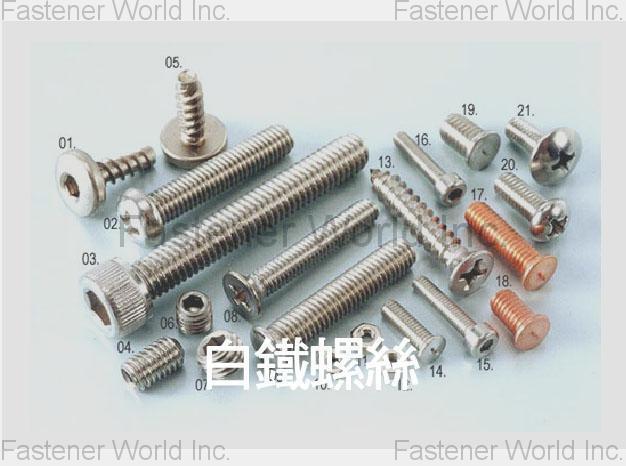 Stainless Steel Stainless Screws