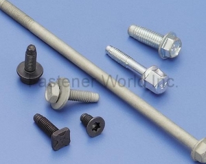 fastener-world(INFASTECH/TRI-STAR LIMITED TAIWAN BRANCH )