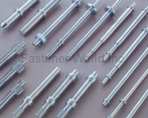 fastener-world(TZE PING PRECISION MACHINERY CO., LTD. )