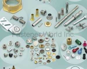 fastener-world(TAILY CORPORATION  )