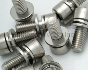 fastener-world(HO HONG SCREWS CO., LTD.  )