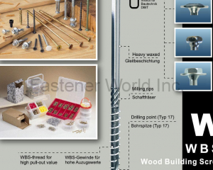 fastener-world(DIN LING CORP.  )