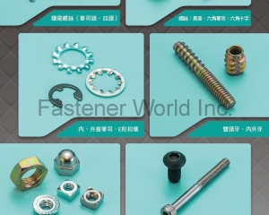 fastener-world(  )