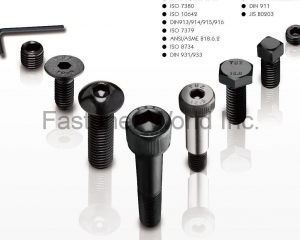 fastener-world(MAUDLE INDUSTRIAL CO., LTD.  )