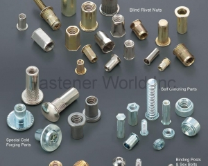 fastener-world(SUPER NUT INDUSTRIAL CO., LTD.  )