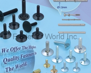 fastener-world(CHEN YI FASTENERS INDUSTRY CO., LTD. )