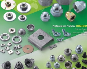 fastener-world(CHAO HSING HARDWARE CO., LTD.  )