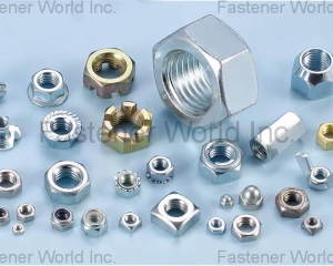 fastener-world(RAYING INDUSTRIAL CO., LTD.  )