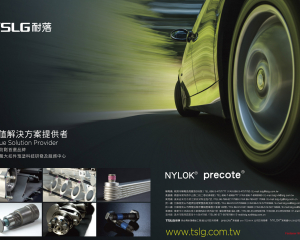 fastener-world(TAIWAN SELF-LOCKING Group )