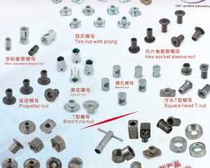 fastener-world(ZHEJIANG HYSTRON AUTO PARTS CO., LTD. )