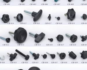 fastener-world(CHENG HSIANG CO., LTD.  )