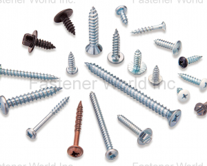 fastener-world(MOLS CORPORATION  )