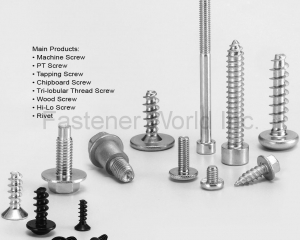 fastener-world(DEXIN METAL CO., LTD. )