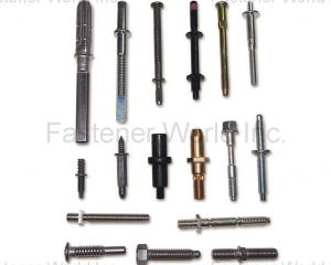 fastener-world(WIZTECH FASTENER LTD. )