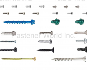 fastener-world(SHANGHAI SCREWTOOL INDUSTRIAL CO., LTD. )