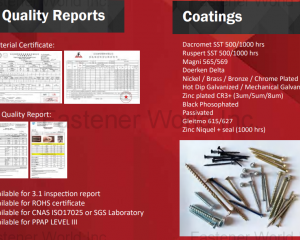 fastener-world(SHANGHAI SCREWTOOL INDUSTRIAL CO., LTD. )