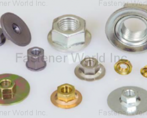 fastener-world(WINKEP INDUSTRIAL CO., LTD. )