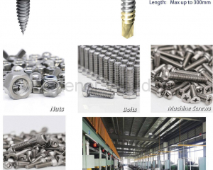 fastener-world(SHANGHAI FASTENMAN METAL PRODUCT CO., LTD. )