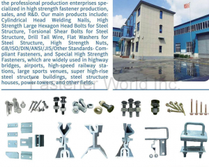 fastener-world(HEBEI JINAN FASTENER CO., LTD. )