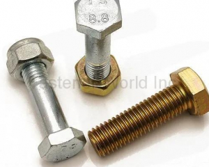 fastener-world(NINGBO TRANSHOW FASTENER CO., LTD. )