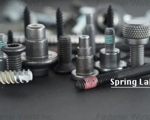 fastener-world(SPRING LAKE ENTERPRISE CO., LTD.  )