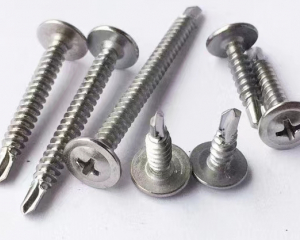 fastener-world(HEBEI JINAN FASTENER CO., LTD. )