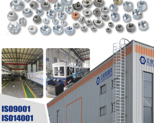 fastener-world(JIAXING LIXIN FASTENERS CO., LTD. )