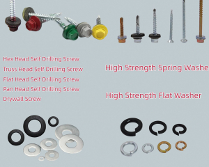 fastener-world(HEBEI DELONG FASTENER MANUFACTURING CO., LTD.  )