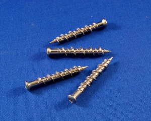 fastener-world(ASCCO INTERNATIONAL CO., LTD. )