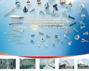 fastener-world_DONGGUAN TOBON SCREWS CO., LTD. fastener-world(DONGGUAN TOBON SCREWS CO., LTD. )