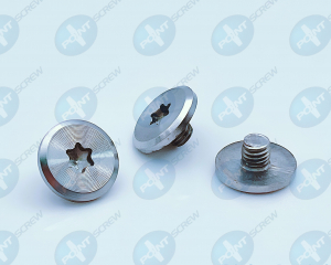 fastener-world(POINT SCREW ENTERPRISE CO., LTD. )