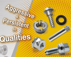 fastener-world(JI LI DENG FASTENERS CO., LTD. )