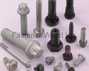 fastener-world_SAN SHING FASTECH CORP.   fastener-world(SAN SHING FASTECH CORP.  )