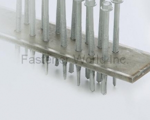 fastener-world(SCREW KING CO., LTD.  )