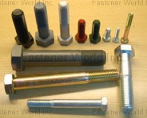 fastener-world(CHIANG SHIN FASTENERS INDUSTRIES LTD.  )