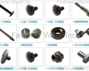 fastener-world(TAILY CORPORATION  )