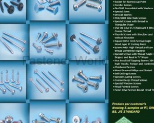 fastener-world(SEN CHANG INDUSTRIAL CO., LTD.  )